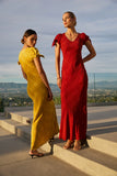 Kimmie Maxi Dress in Red Brown