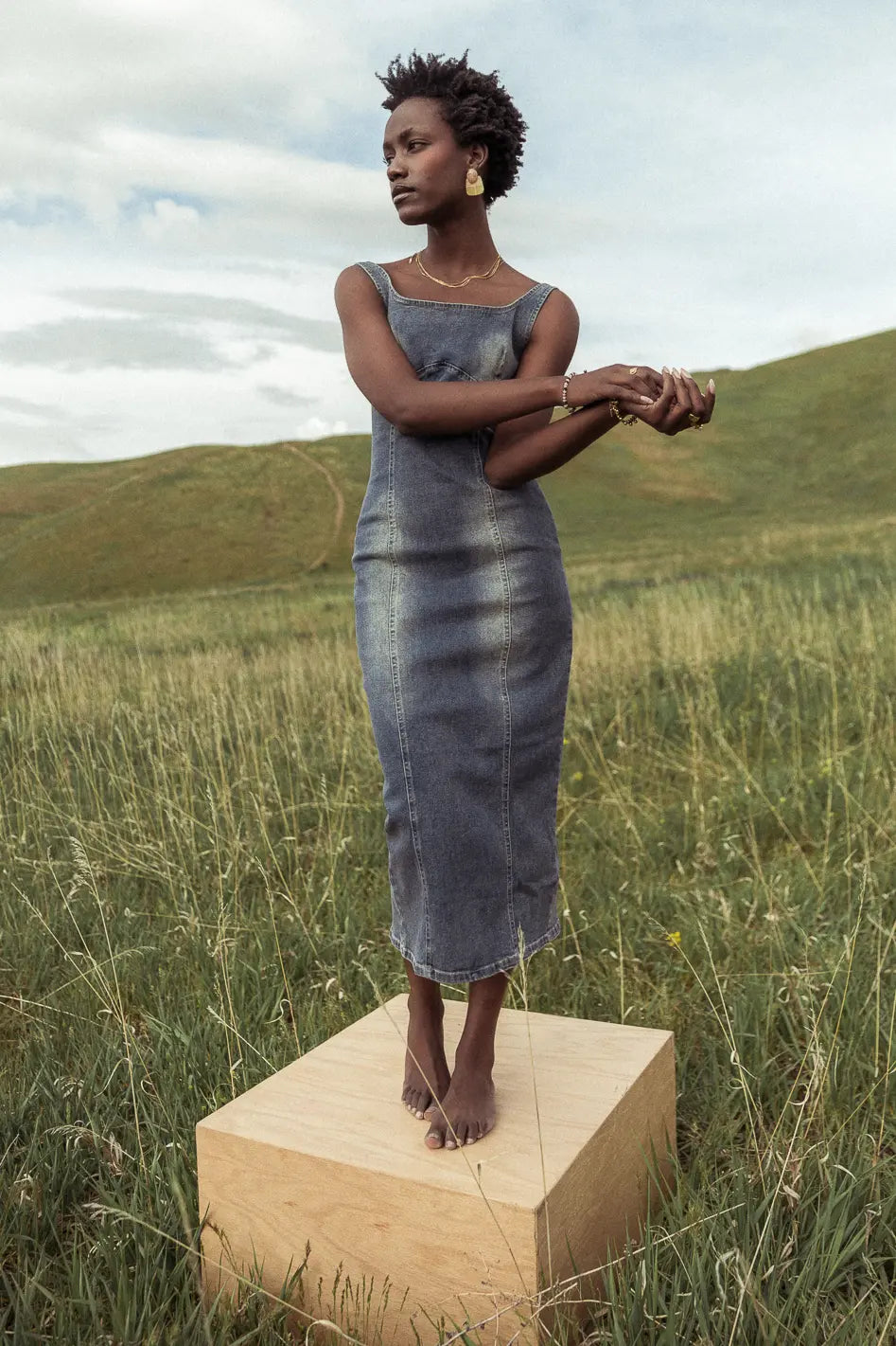 Valentini Denim Midi Dress FINAL SALE
