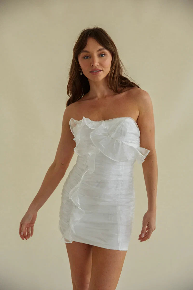 Sam Ruched Organza Bodycon Mini Dress