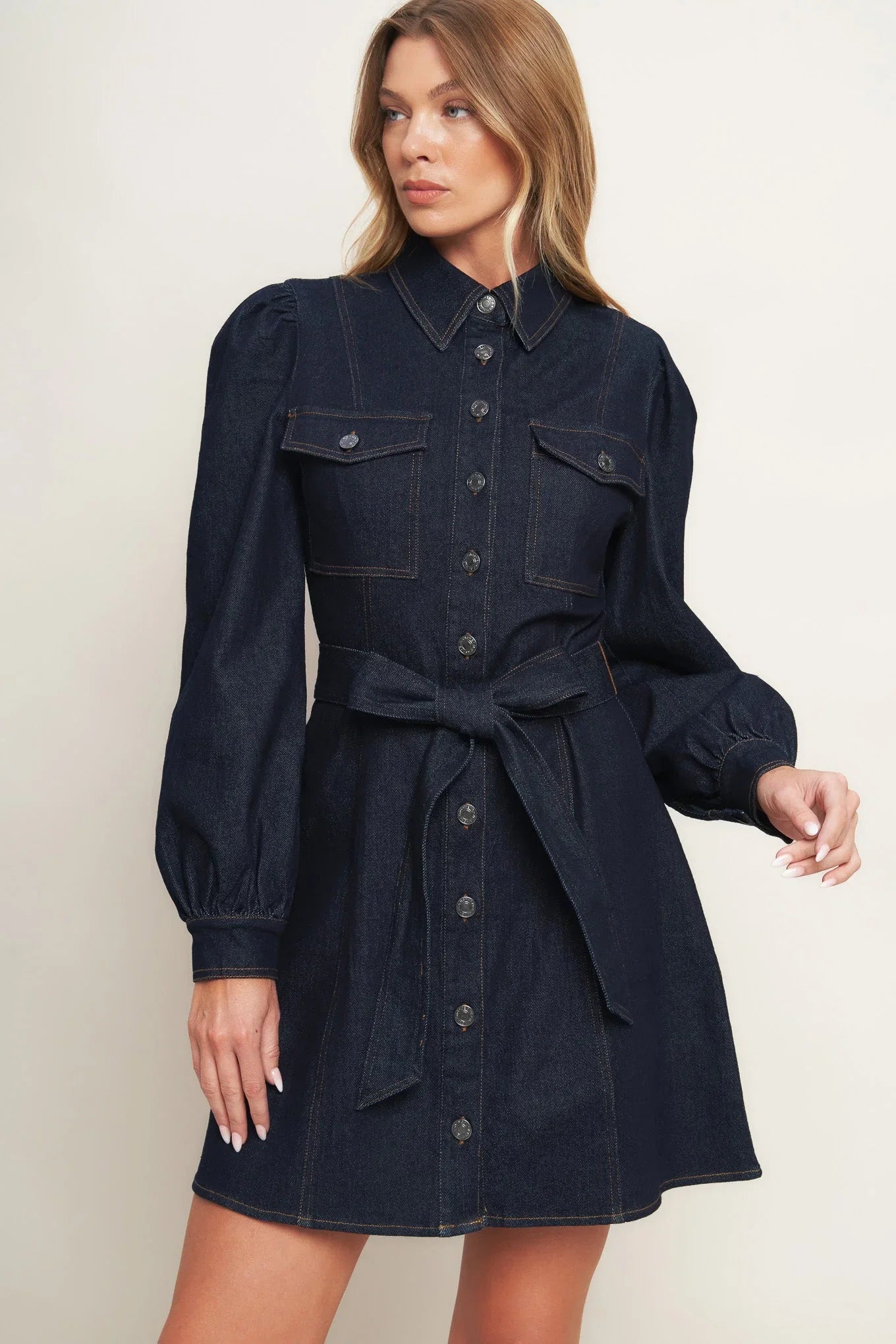 AUTUMN DAYS DARK INDIGO DENIM MINI DRESS