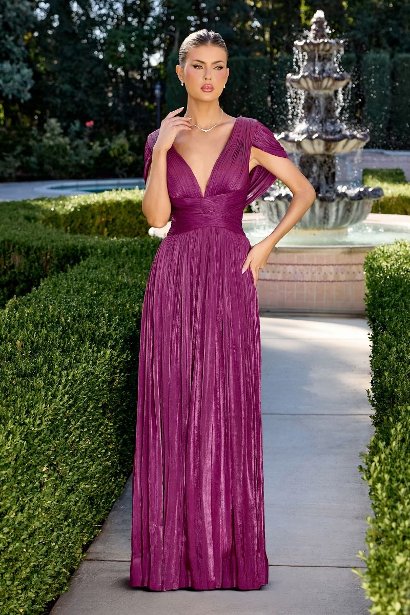 Astrid Gown Draped Cap Sleeve Shimmer Chiffon Dress