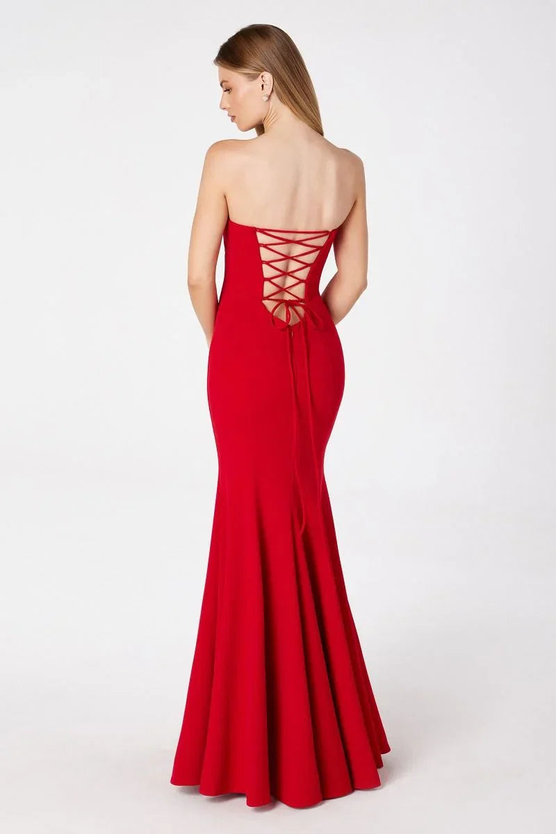 Poppy Maxi Dress Strapless Fitted Dress