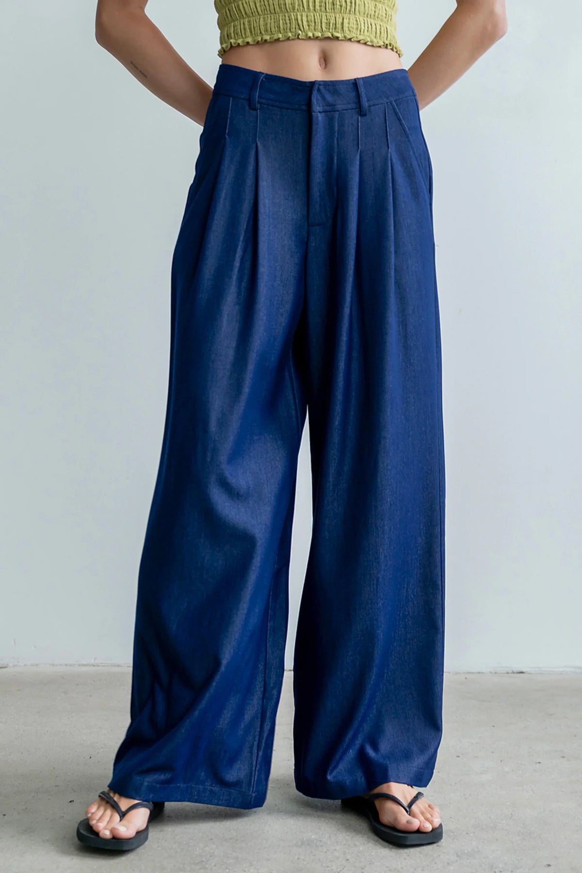 Joey Pleated Pants in Blue