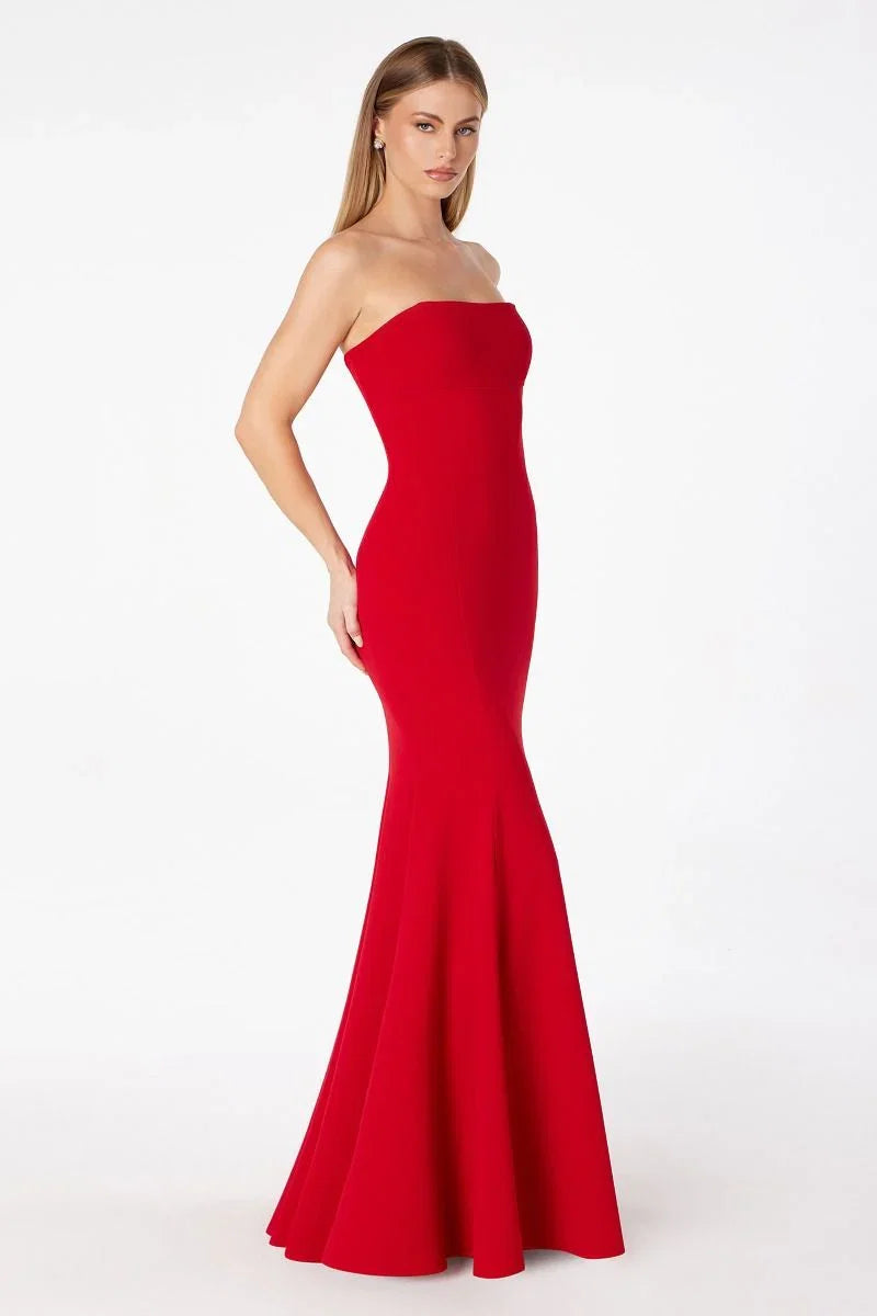 Poppy Maxi Dress Strapless Fitted Dress