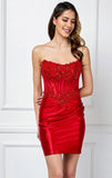 Stormy Mini Dress Red