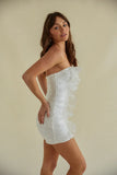 Sam Ruched Organza Bodycon Mini Dress