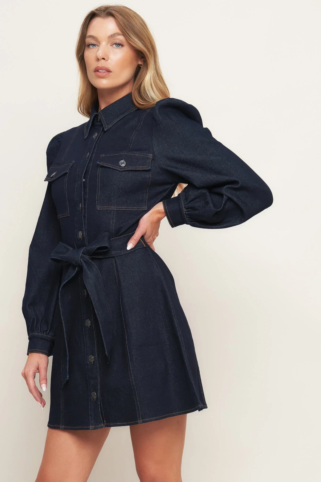 AUTUMN DAYS DARK INDIGO DENIM MINI DRESS