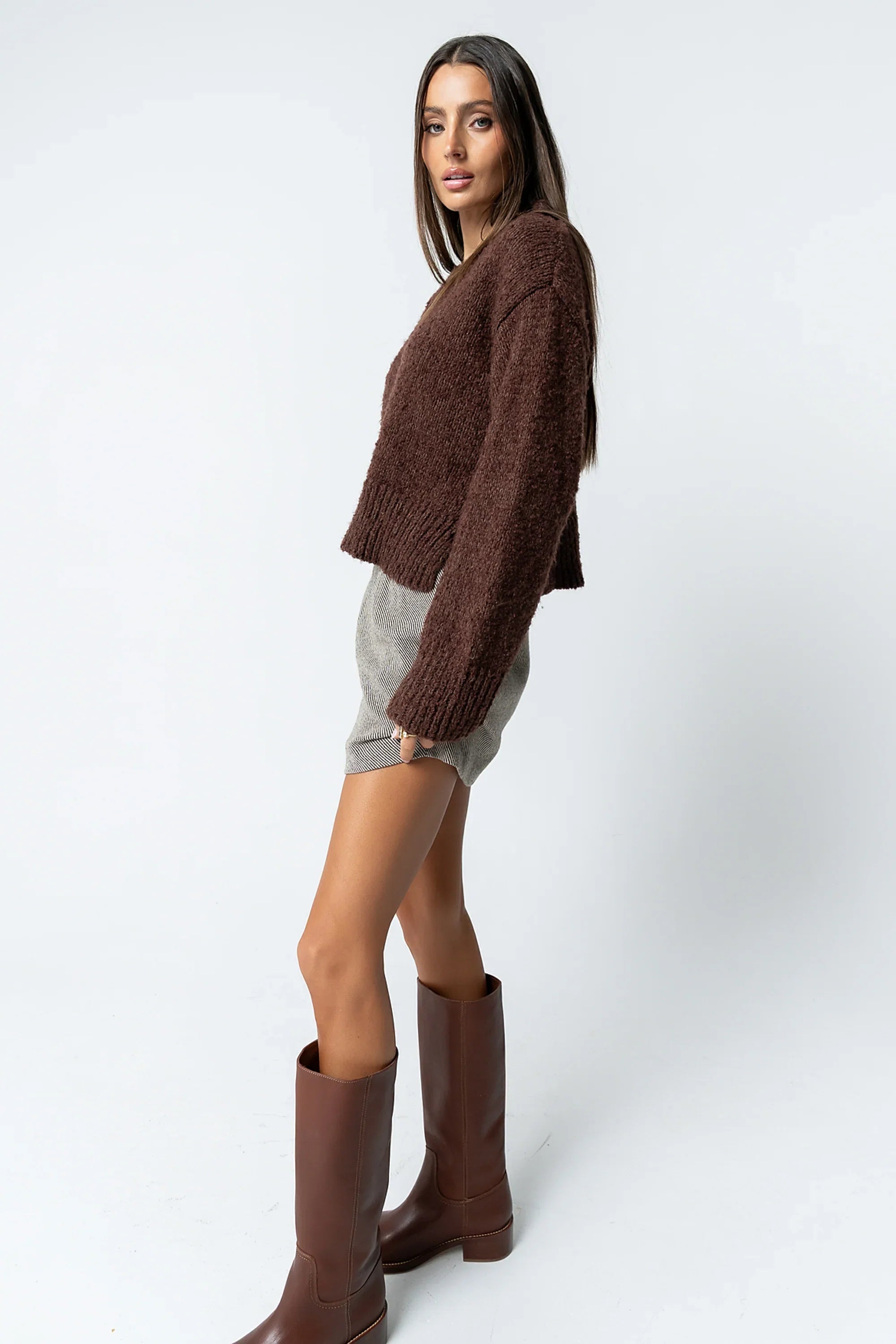 Junie Fuzzy Sweater in Brown