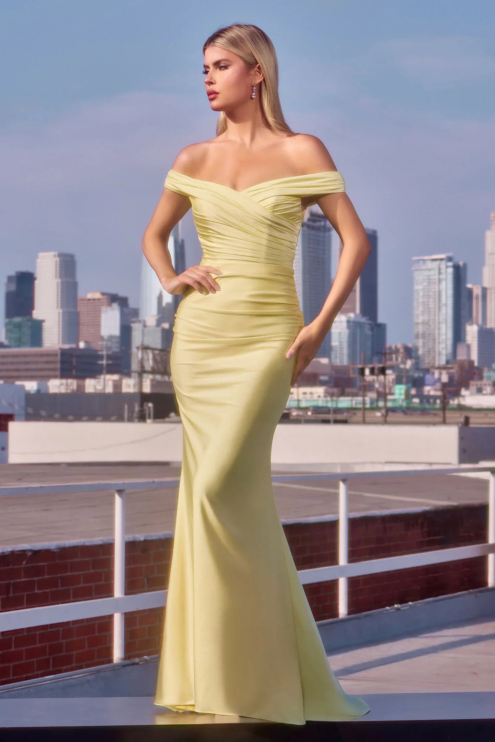 Tinsley Gown Stretch Off the Shoulder Dress