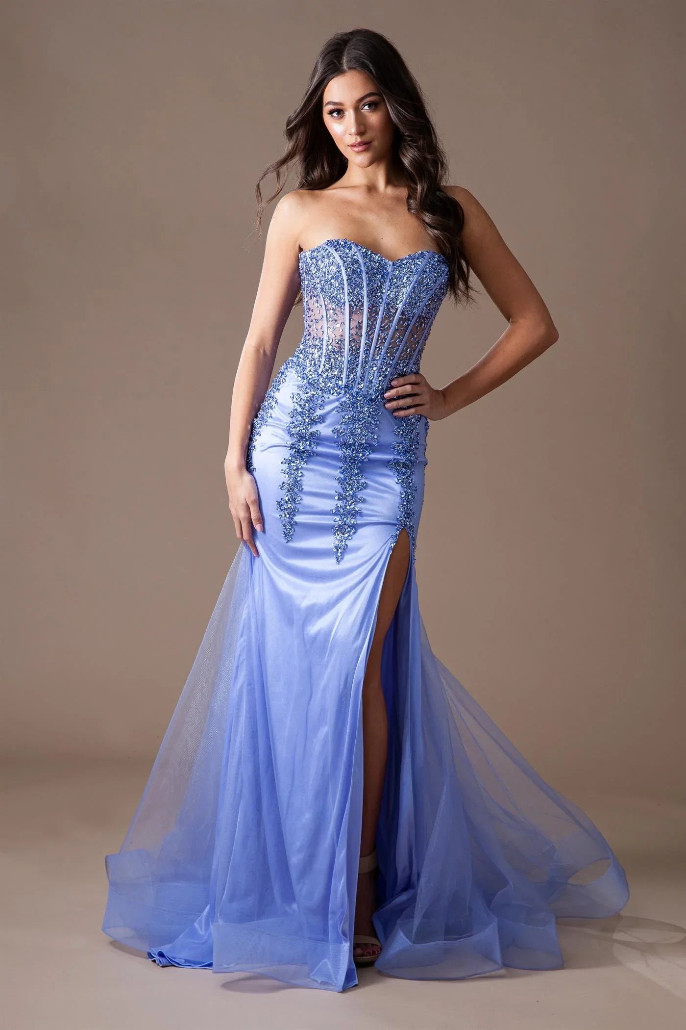 Blakely Gown Strapless Embellished Corset Tulle Dress