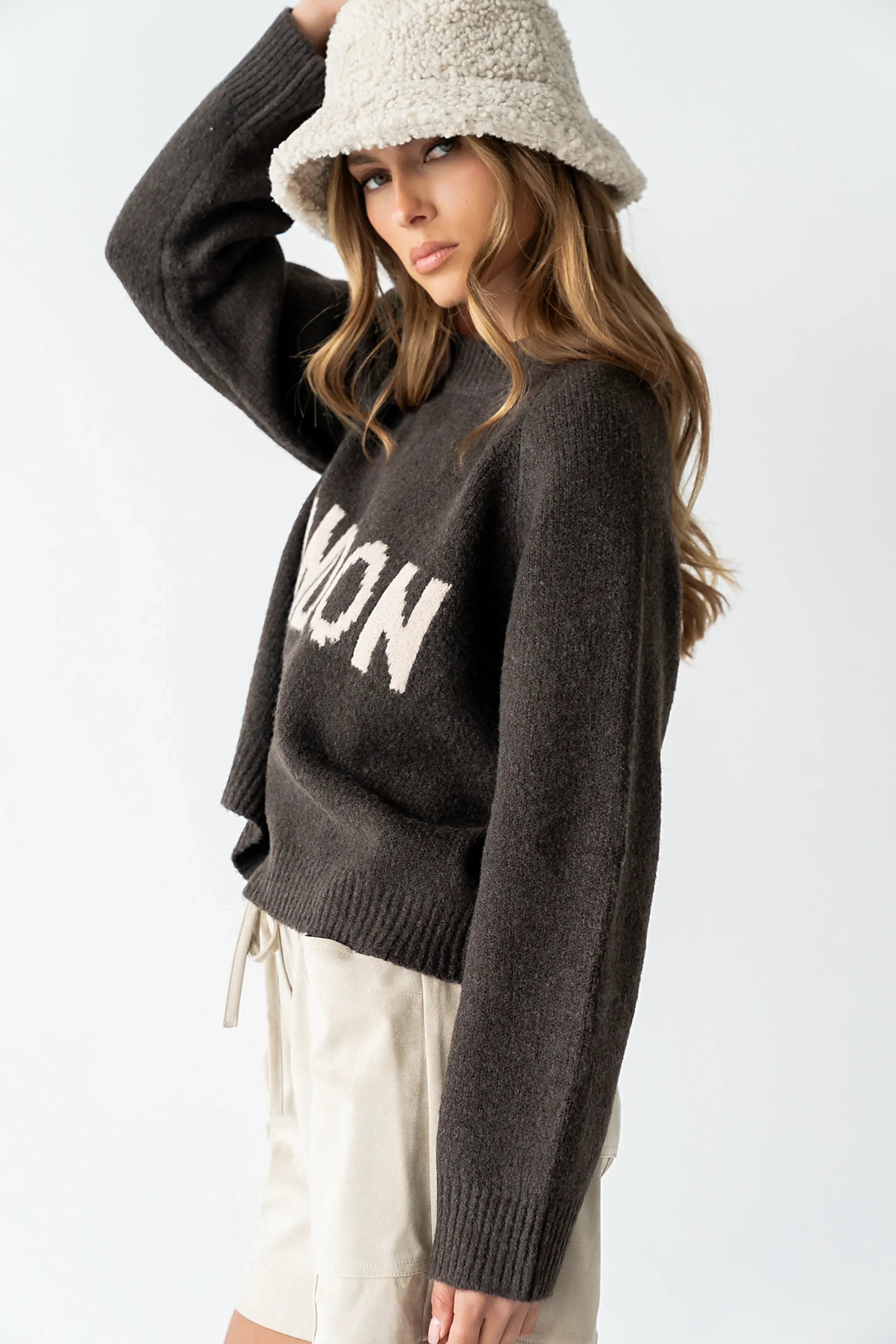 Suzie Graphic Sweater in Brown FINAL SALE