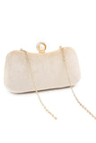 Eye Catching Imitation Velvet Chain Clutch Bag