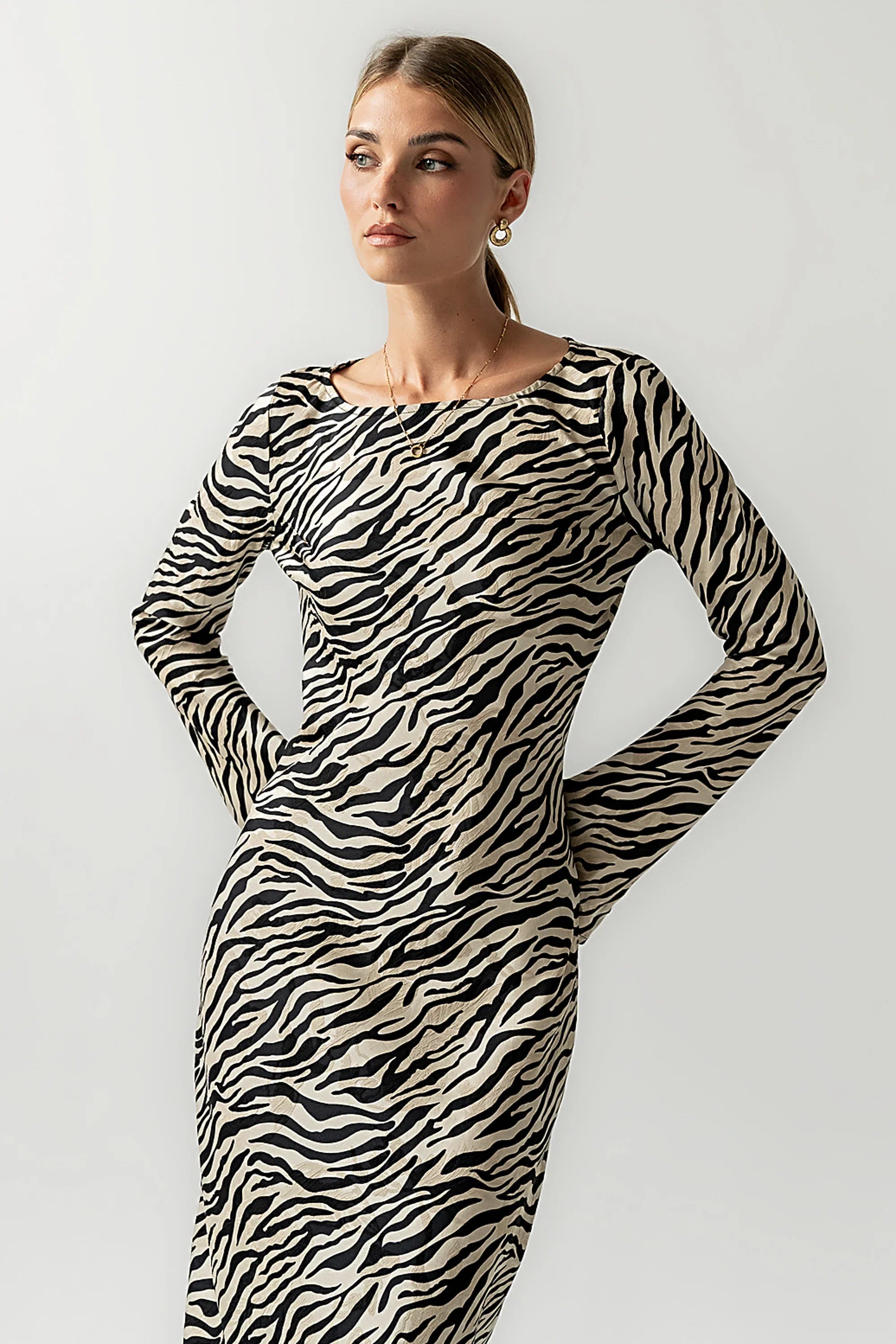 Melody Zebra Ultra Maxi Dress FINAL SALE