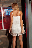 Charleston Flapper Dress in Black