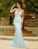 Reva Corset Gown Light Blue Floral Lace Dress