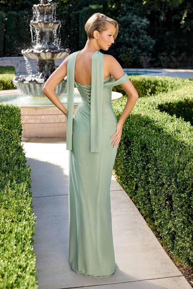 Indira Gown Pleated Chiffon Dress with Scarf