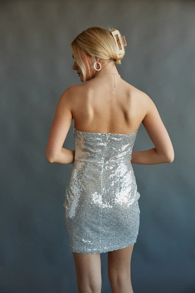 Karina Sequin Corset Bodycon Mini Dress