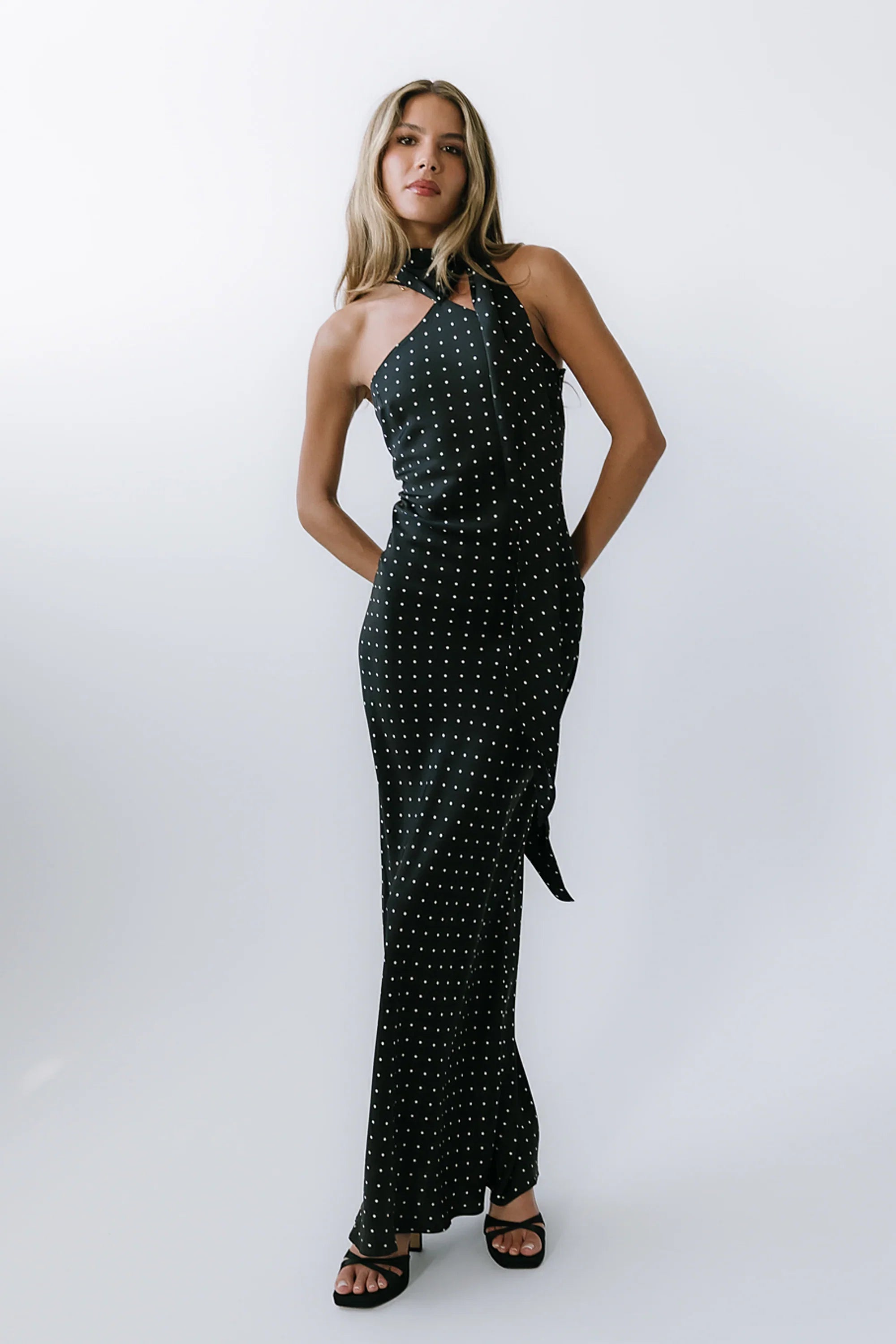 Max Polka Dot Maxi Dress