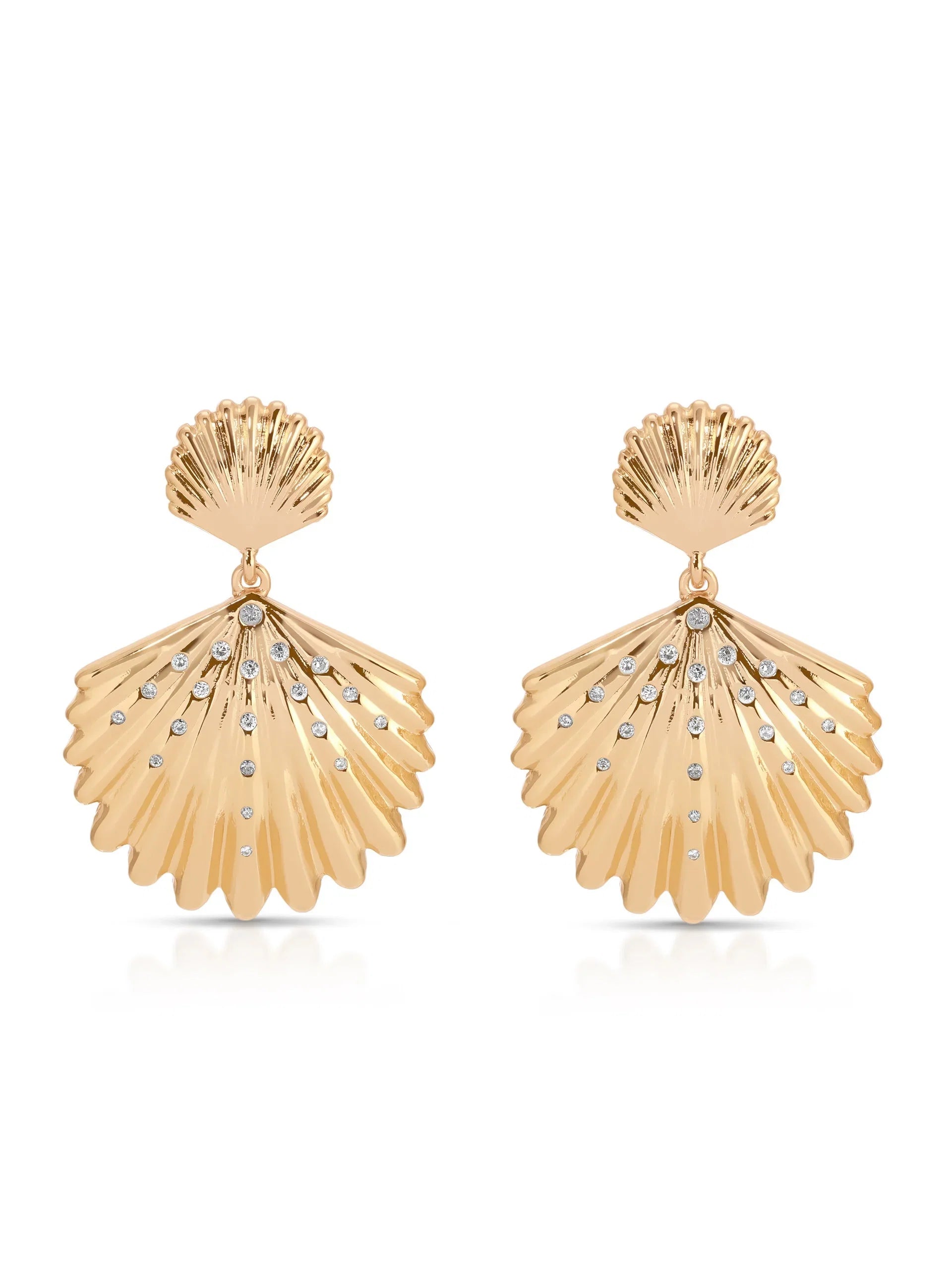 Sun drenched Shell Earrings