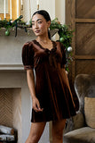 Roxanna Velvet Mini Dress in Brown FINAL SALE