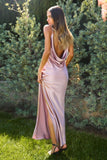 Lina Satin Cowl Neck Maxi Dress with Draped Back